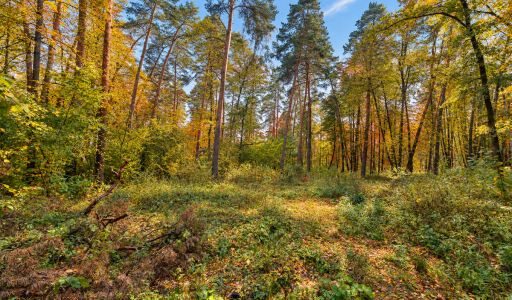Участок в КП Серебрянные ручьи