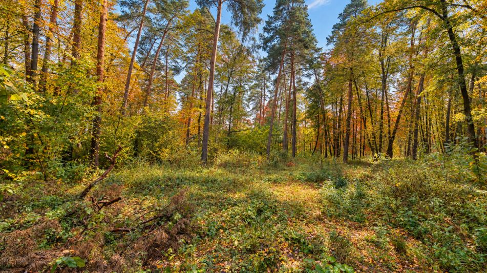 Участок в КП Серебрянные ручьи
