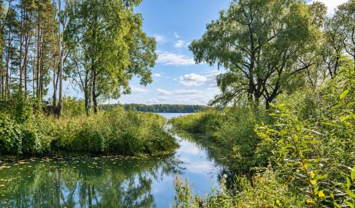 Дом на Истринском водохранилище