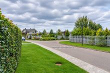 Берег хонка