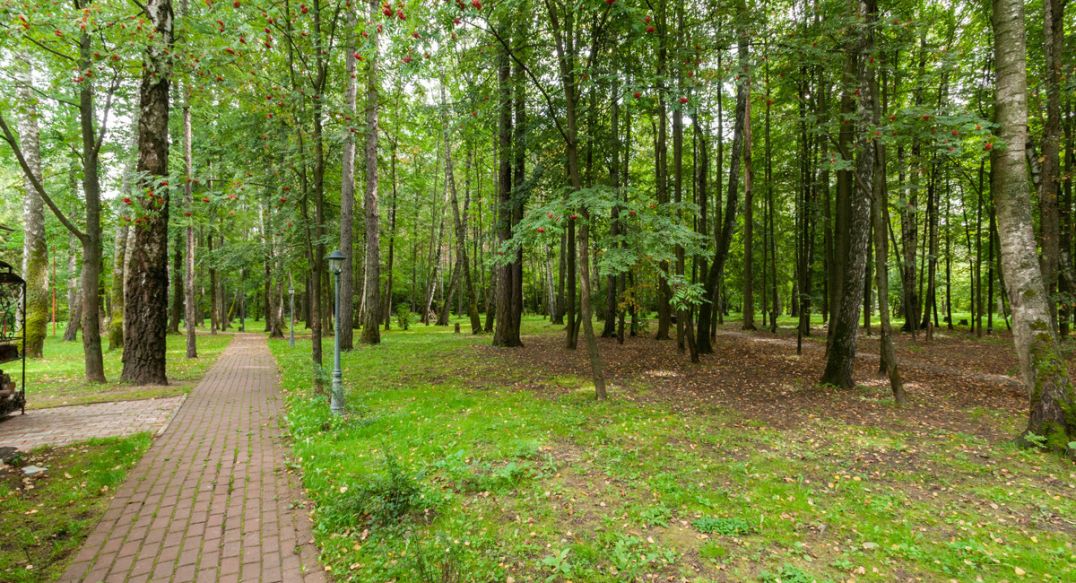 Смородинка