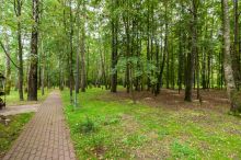 Смородинка