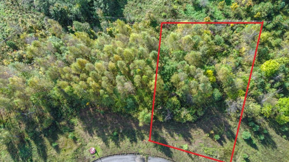 Участок в Александровской Слободе