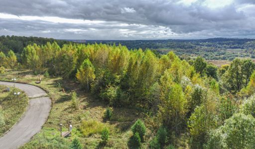 Участок в Александровской Слободе