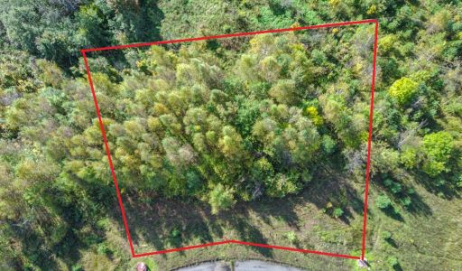 Участок в Александровской Слободе