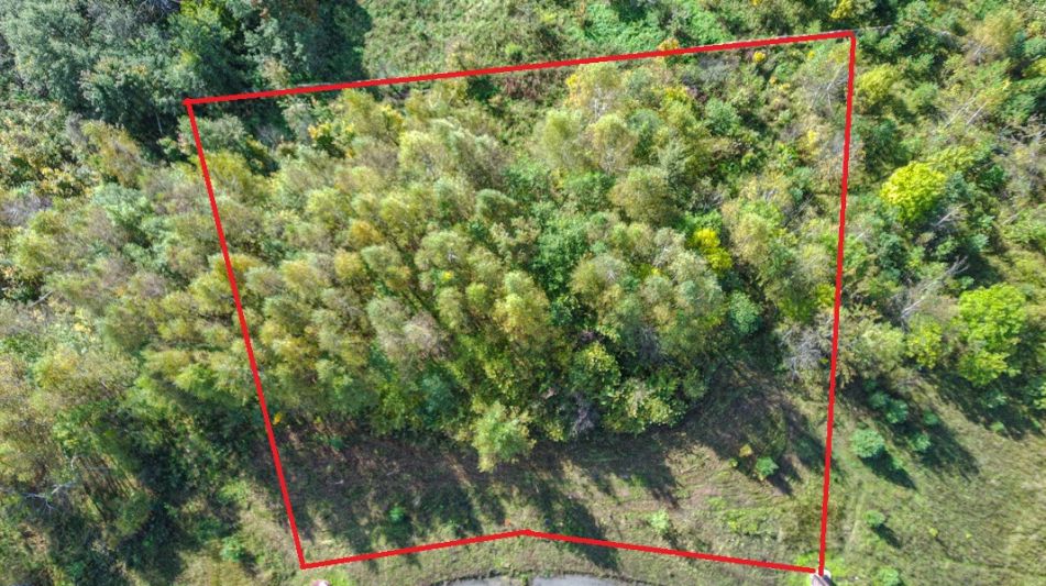 Участок в Александровской Слободе