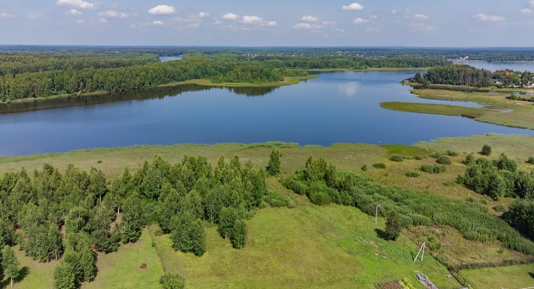 Никульское