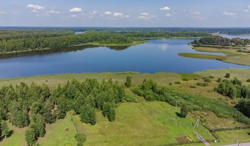 Никульское