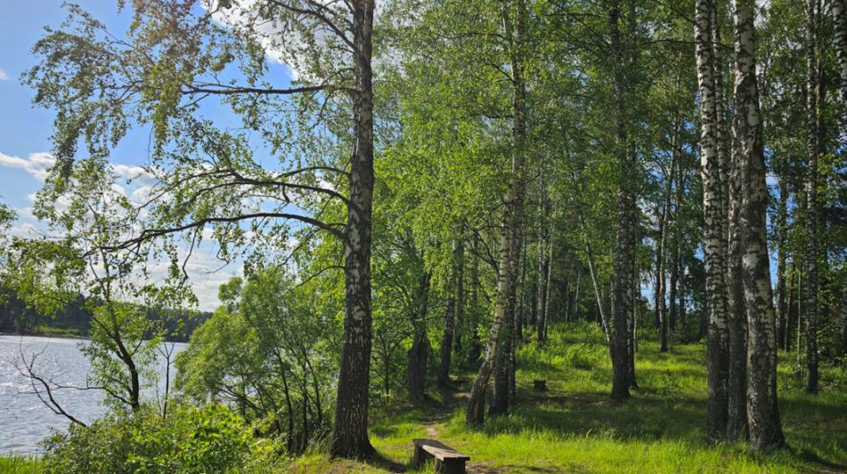 Дом у воды в Тимофеево