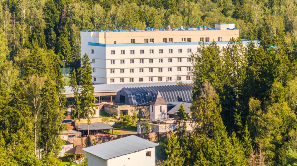 Дом в д. Агафониха