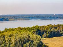 Дом у леса в КП 