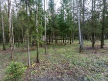 Участок в лесу КП Среди Своих