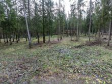 Участок в лесу КП Среди Своих