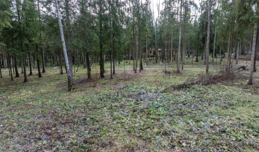 Участок в лесу КП Среди Своих