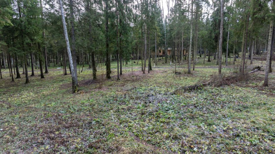 Участок в лесу КП Среди Своих