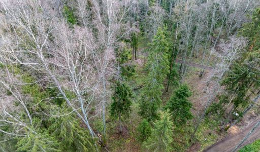 Участок в лесу КП Среди Своих