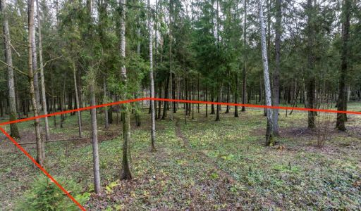 Участок в лесу КП Среди Своих