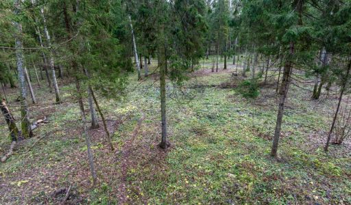 Участок в лесу КП Среди Своих