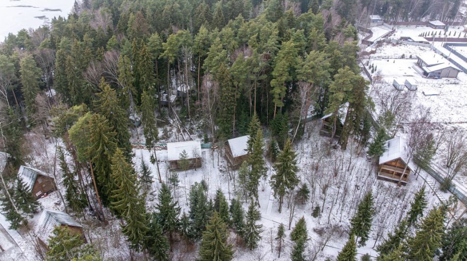 Участок с лесом и причалом у воды