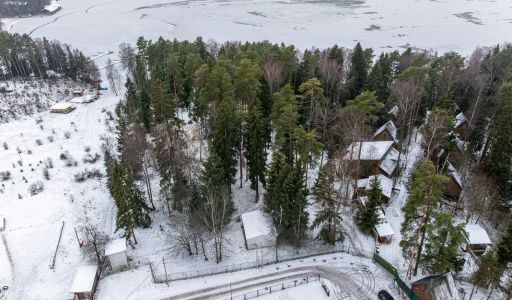 Участок с лесом и причалом у воды