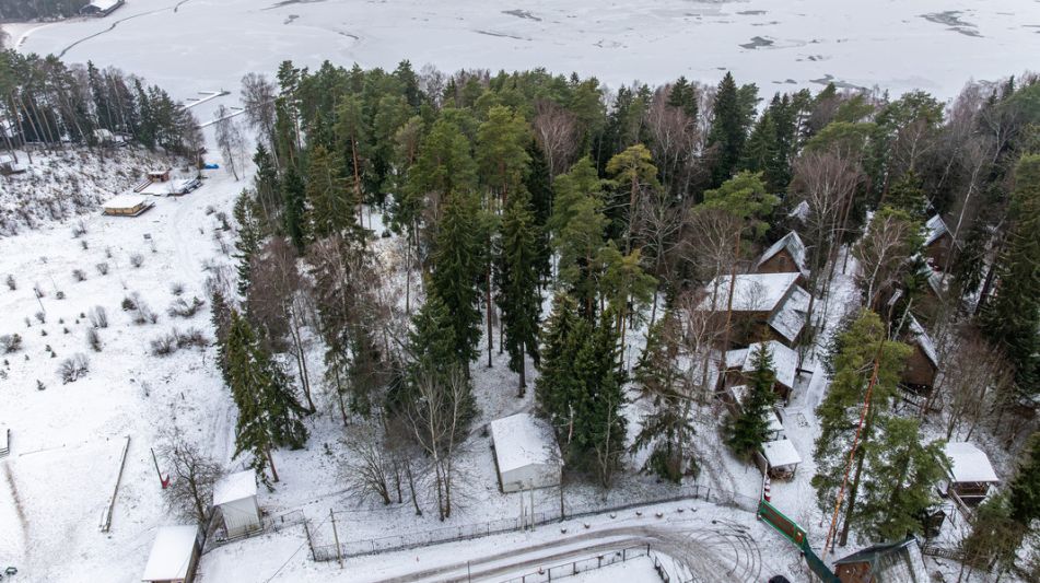 Участок с лесом и причалом у воды