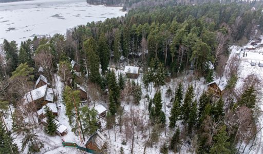 Участок с лесом и причалом у воды