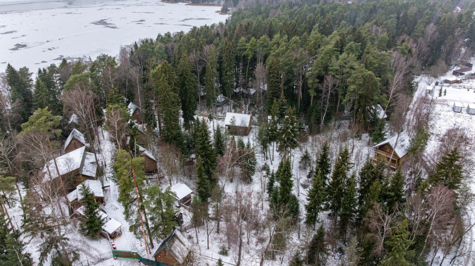 Участок с лесом и причалом у воды
