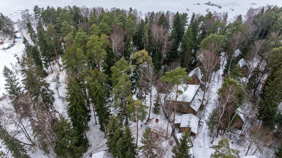 Участок с лесом и причалом у воды