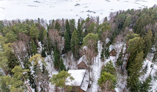 Участок с лесом и причалом у воды