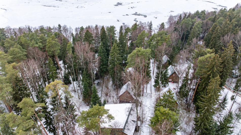 Участок с лесом и причалом у воды