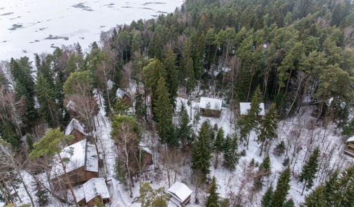 Участок с лесом и причалом у воды