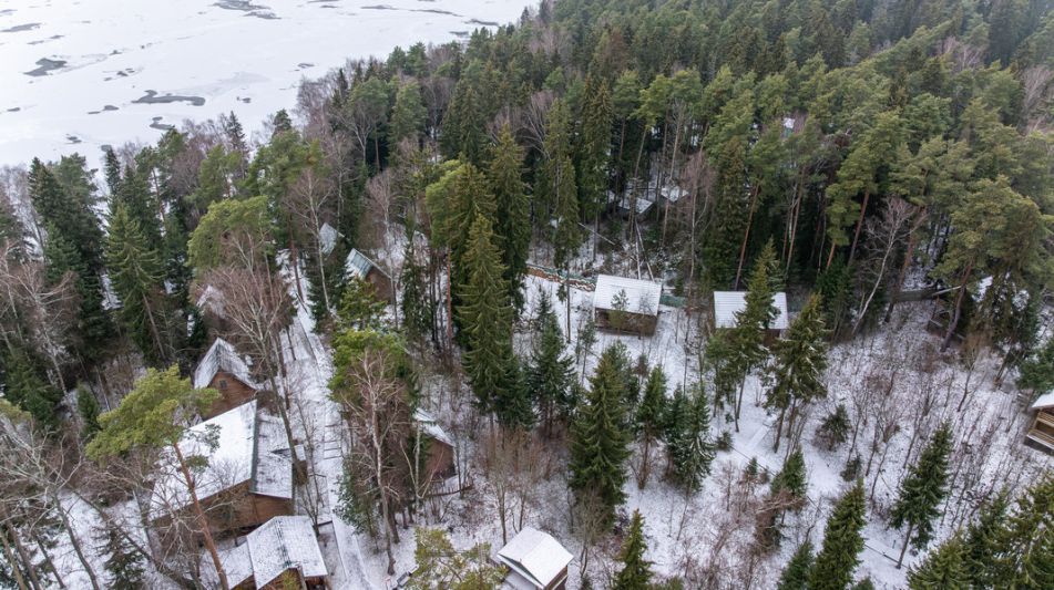 Участок с лесом и причалом у воды