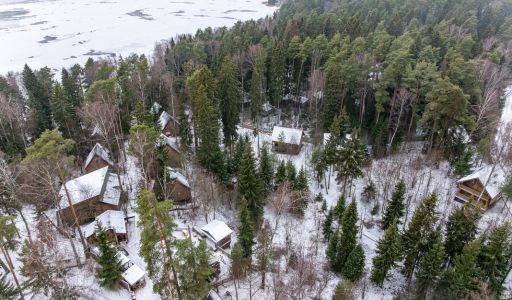 Участок с лесом и причалом у воды