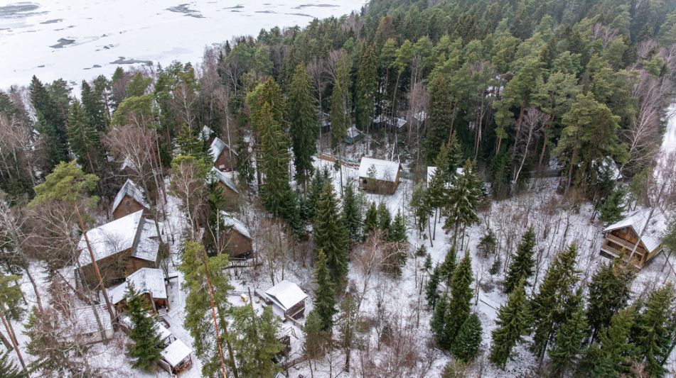 Участок с лесом и причалом у воды