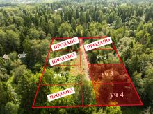 Лесной участок в Трудовой Южной