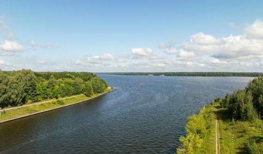 Дом у леса на острове Витенево