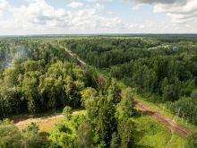 Лесной участок в Трудовой Южной