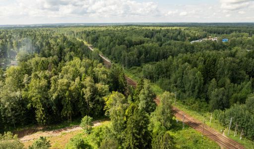 Лесной участок в Трудовой Южной