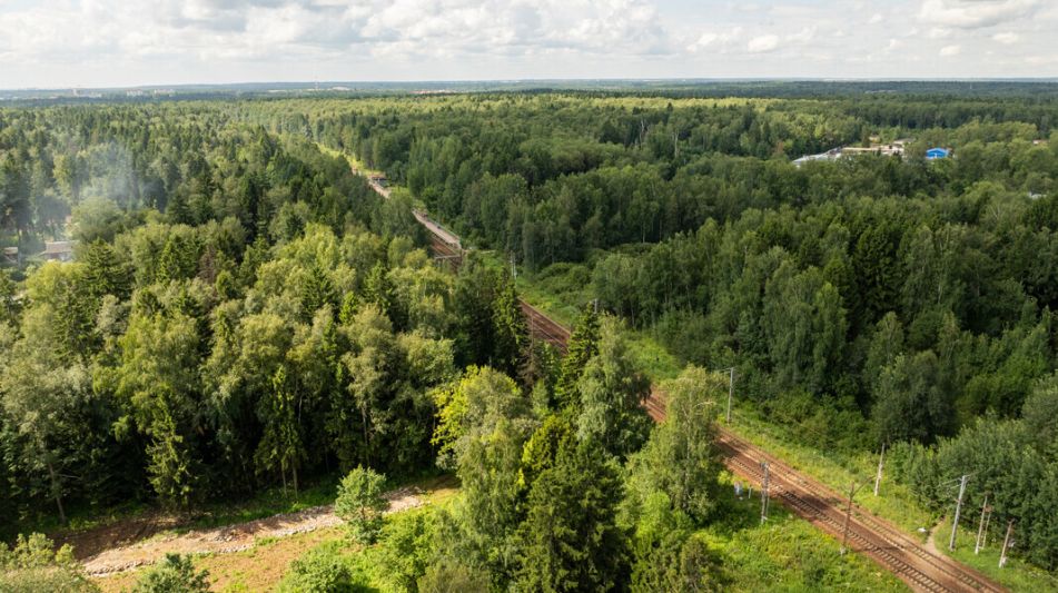 Лесной участок в Трудовой Южной