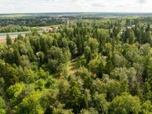 Лесной участок в Трудовой Южной