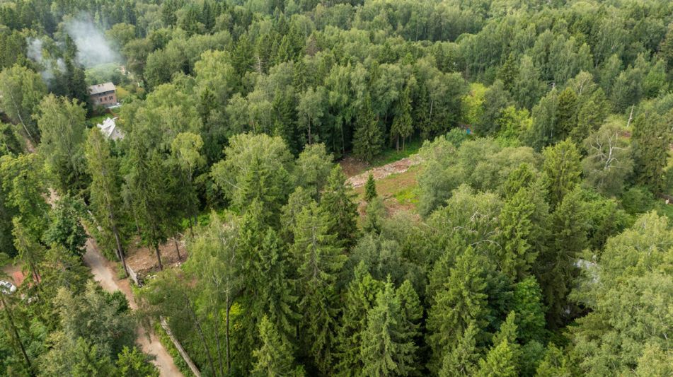 Лесной участок в Трудовой Южной