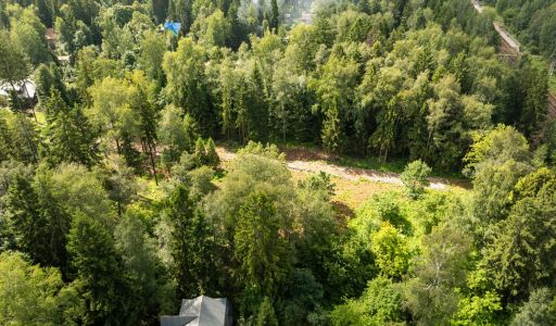 Лесной участок в Трудовой Южной