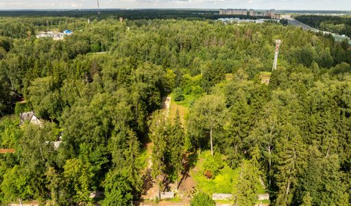 Лесной участок в Трудовой Южной