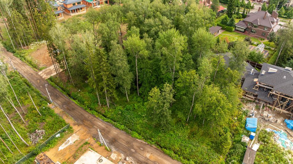 Лесной участок в КП Новогорск лес