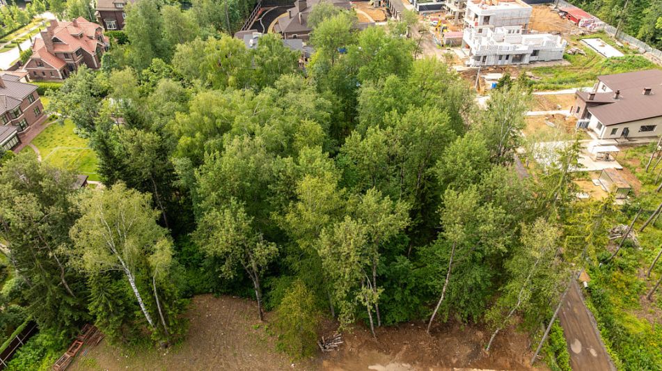 Лесной участок в КП Новогорск лес