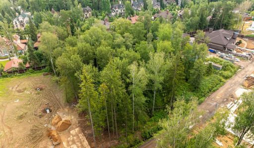 Лесной участок в КП Новогорск лес