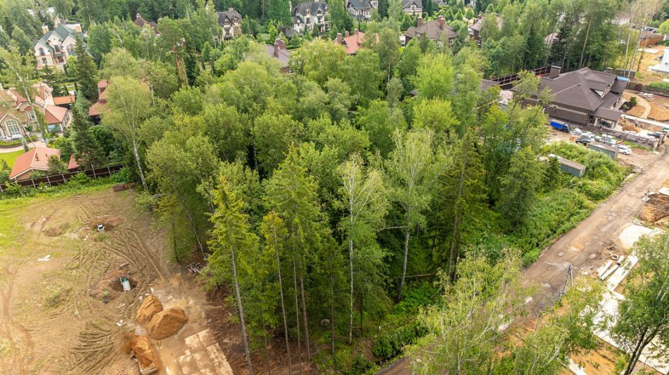 Лесной участок в КП Новогорск лес