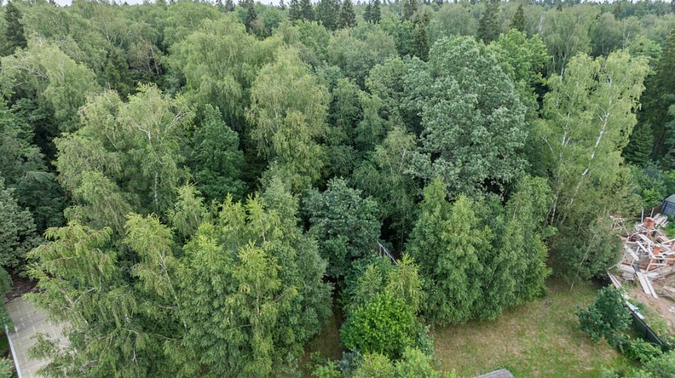 Прилесной участок в кп Аврора