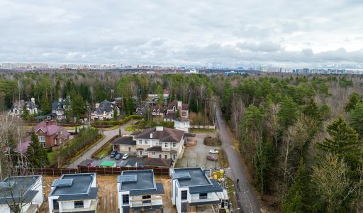 Новогорск Лес