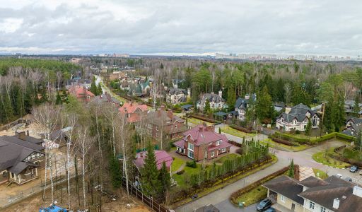 Новогорск Лес